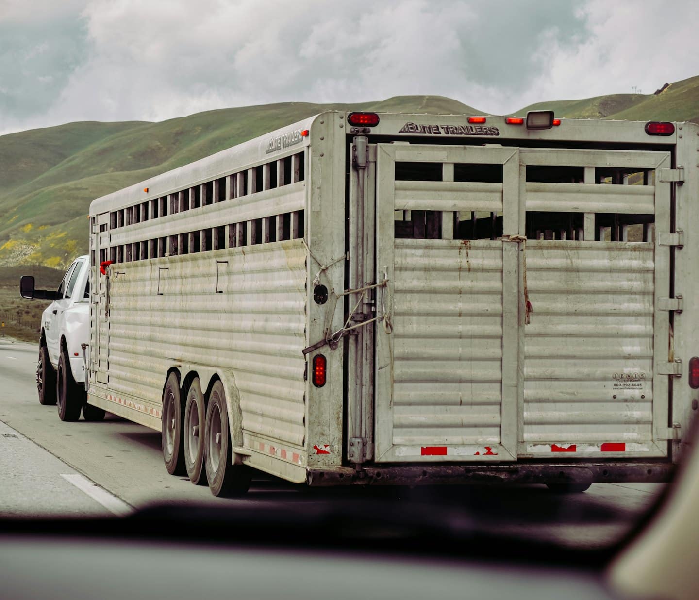 White pickup truck pulling livestock trailer on a highway.